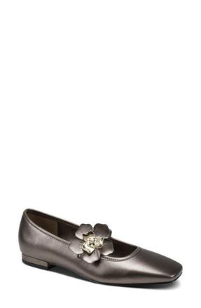 Karl Lagerfeld Sidra Mary Jane Flat in Canyon Brown at Nordstrom, Size 5.5