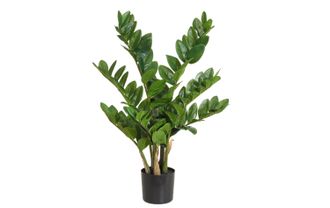 Botanic-Haus Kunstblume