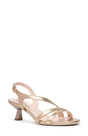 Nero Giardini Slingback Kitten Heel Sandal in Gold at Nordstrom, Size 11Us