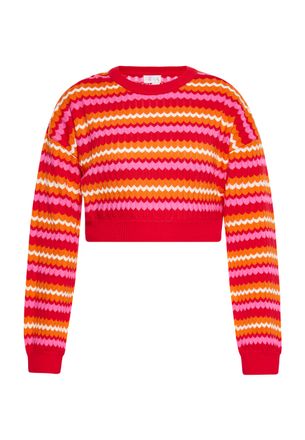 Izia Jumper Dames Rood Veelkleurig