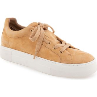 Aerosoles BO Fashion Sneaker in Beige Suede at Nordstrom Rack, Size 9.5