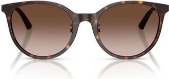 Jimmy Choo London 54mm Phantos Sunglasses in Havana /Gradient Brown at Nordstrom