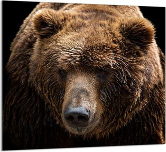 OEM Panel De Vidrio Para Cocina 65x60 Osito De Peluche