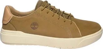 Timberland Sneakers, male, Beige, Size: 8 US Leather Sneaker