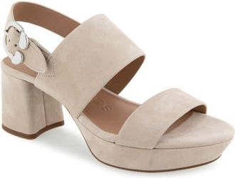 Aerosoles Camera Platform Sandal in Stone Suede at Nordstrom, Size 9.5
