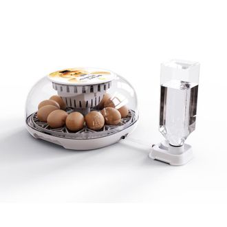 OEM Incubadora Autom&aacute;tica De Huevos, Incubadora Para 12 Huevos Con Volteo Autom&aacute;tico Y Control De Temperatura, Adici&oacute;n Autom&aacute;tica De Agua, Incubadora Led,