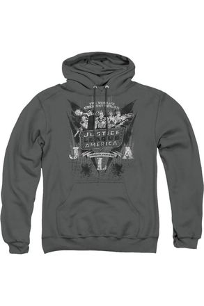 Gildan DC Comics Greatest Heroes Adult Pull Over Hoodie / Hooded Sweatshirt
