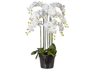 Gasper Kunstpflanze Orchidee Weiss im Topf H: 110 cm