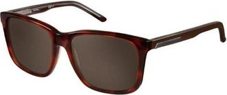 Pierre Cardin P.C. 6171/S DID/EJ Mens Sunglasses Tortoiseshell Size 56