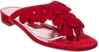 Manolo Blahnik Tamako Suede Sandal