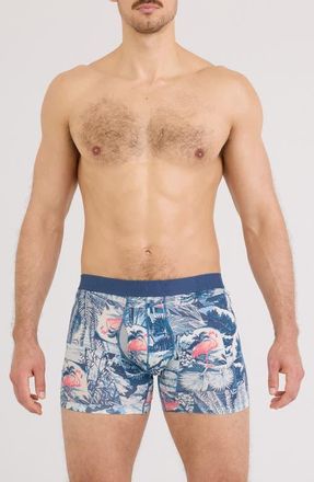 Saxx DropTemp Cooling Cotton Boxer Briefs in Botanique-Washed Ind at Nordstrom, Size X-Large