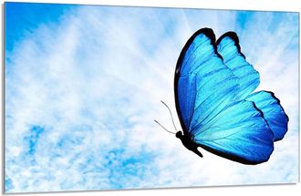 OEM Placa Protectora De Vidrio Para Estufa 80x52 Mariposa