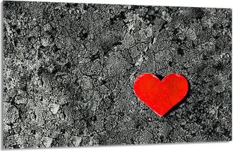 OEM Placa Protectora De Vidrio Para Estufa 80x52 Coraz&oacute;n