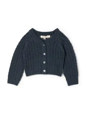 Lola Pointelle Knit Button Front Cardigan with Scalloped Trim in Ink at Nordstrom, Size 12M