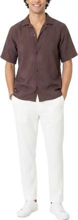 Area Stars Sunburst Top in Brown at Nordstrom, Size X-Large