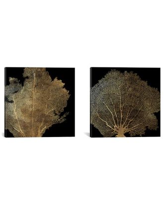 iCanvas Icanvas Honeycomb Coral Diptych By Aimee Wilson