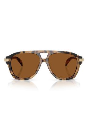 Michael Kors Grenada 56mm Aviator Sunglasses in Vintage Tortoise /Amber Mono at Nordstrom