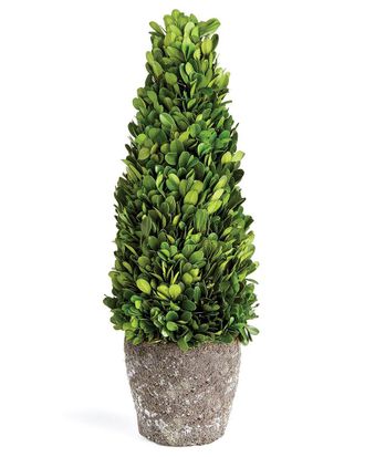 Napa Home & Garden Boxwood Cone Topiary Drop-In 16In