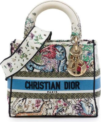Dior Pre-owned Dior Medium Embroidered Canvas D Constellation Lady D Lite Ladies 1O0ZK7F8NSGJZ72H