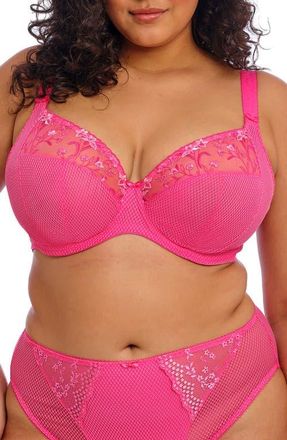 Elomi Charley Full Figure Underwire Plunge Bra in Pink at Nordstrom, Size 34G