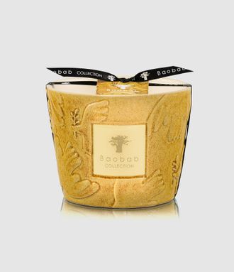 Baobab Bougie Max 10 Paz Dove, &Eacute;dition Limit&eacute;e