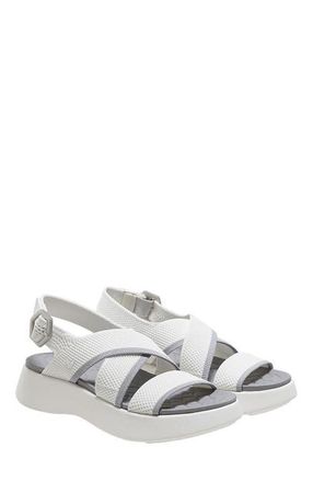 Vivaia AdaptAll Sport Sandals in White Wood Ash at Nordstrom, Size 11