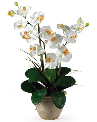 Nearly Natural Double Phalaenopsis Silk Orchid Flower Arrangement