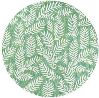 Jonathan Y Designs Nevis Palm Frond Indoor/Outdoor Round Area Rug in Cream/green at Nordstrom, Size 5Ft 0In X 5Ft 0In