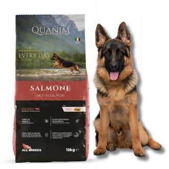 OEM Salm&oacute;n Quanim, Arroz, Pescado, 12 Kg, Alimento Lambador, Husky, Beagle, Amstaff