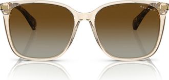 Ralph Lauren 56mm Polarized Square Sunglasses in Brown/polar Gradient Brown at Nordstrom