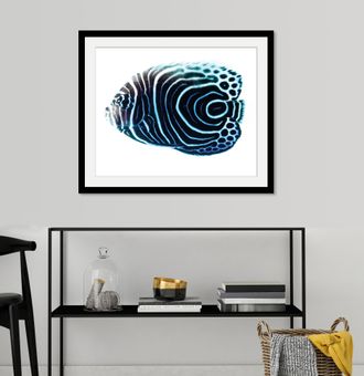 Queence Bild »Dory« Kunst Meer Wassertiere 1 Stk. tlg. HD Premium Poster-Druck inkl. Holzrahmen