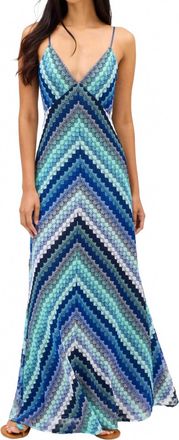 Allison New York Nellie Maxi Dress In Mint Multi