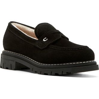 La Canadienne Donny City Dry Waterproof Genuine Shearling Penny Loafer in Black Suede at Nordstrom, Size 7