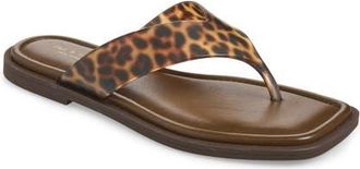 Rag & Bone Gracie Jelly Flip Flop in Tortoise at Nordstrom, Size 10.5Us
