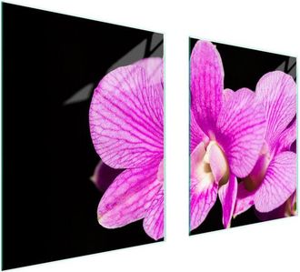 OEM Placa Protectora De Vidrio Para Estufa 85x52 Orqu&iacute;dea