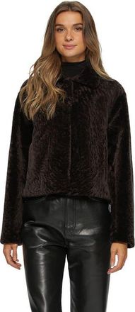 Gorski Textured Shearling Lamb Short Jacket in Brown at Nordstrom, Size Large