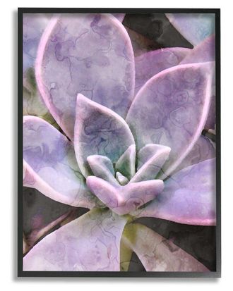 Stupell Industries Purple Succulent Close Up Framed Giclee Wall Art By Daphne Polselli