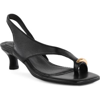 Seychelles Sparks Flying Slingback Kitten Heel Sandal in Black at Nordstrom, Size 7.5