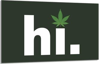 OEM Placa Protectora De Vidrio Para Estufa 80x52 Hoja