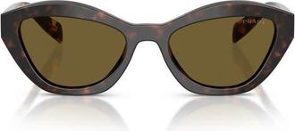 Prada 52mm Butterfly Sunglasses in Root Tortoise /Dark Brown at Nordstrom