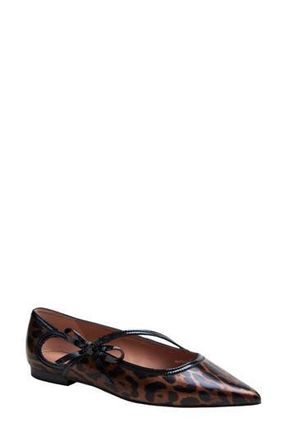 Linea Paolo Nuri Bow Pointed Toe Patent Flat in Brown/Black at Nordstrom Rack, Size 8.5