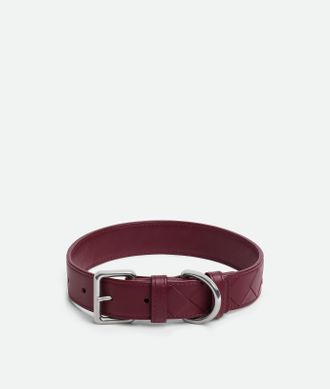 Bottega Veneta Medium Intrecciato Dog Collar - Bottega Veneta