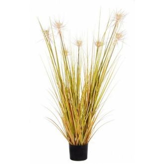 BIZZOTTO 4x Pianta Deserto Paglia C-vaso X7f H120