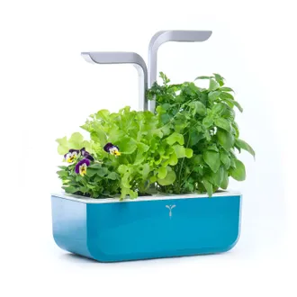 V&eacute;ritable Smart Indoor Garden, Teal Blue