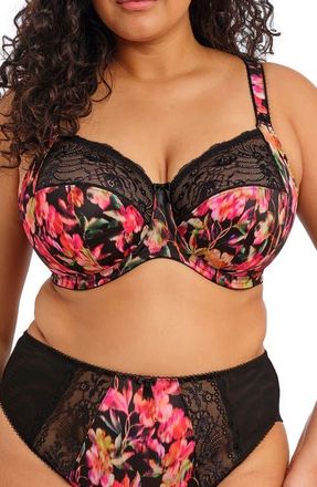 Elomi Morgan Full Figure Underwire Bra in Hot House at Nordstrom, Size 42Gg