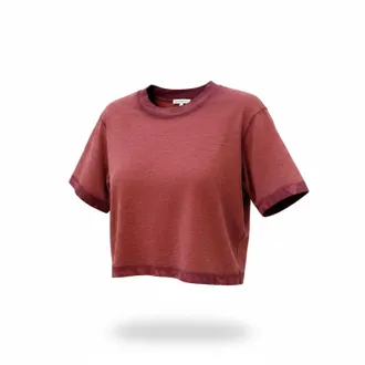 Cotton Citizen Womens Tokyo Crop Tee In Vintage Brick