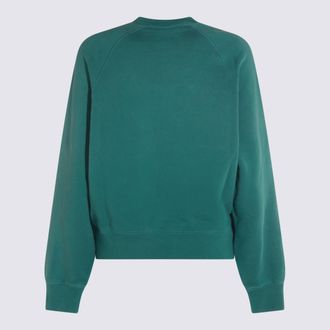 Carhartt Work in Progress Womens Sweaters Saguaro Chalk Wash _co