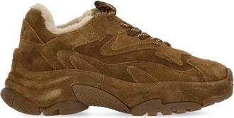 Ash Brown Addict Shearling Suede Sneakers