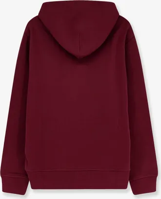 Polo Ralph Lauren Mens Hooded Cotton-Blend Sweatshirt Red Sweatshirts Sweater