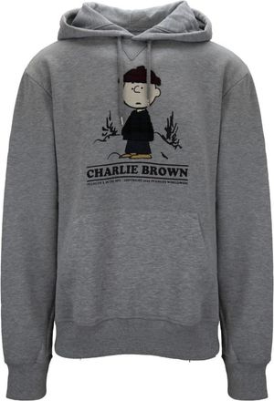 In The Box Hooded Sweatshirt - Heren - Hoodies - Grijs - 2XL - Katoen - Hoodies & sweatvesten